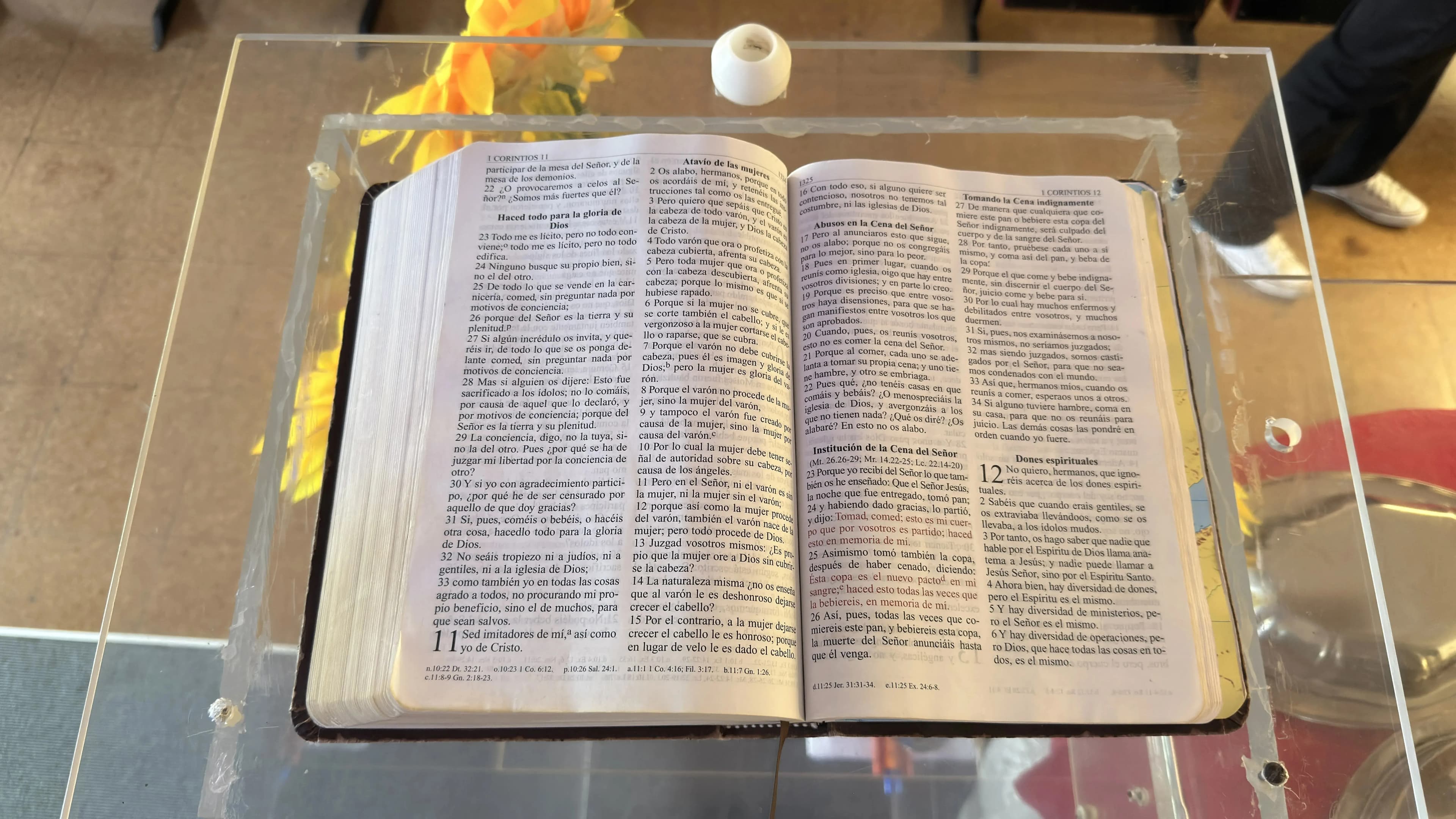 Biblia abierta